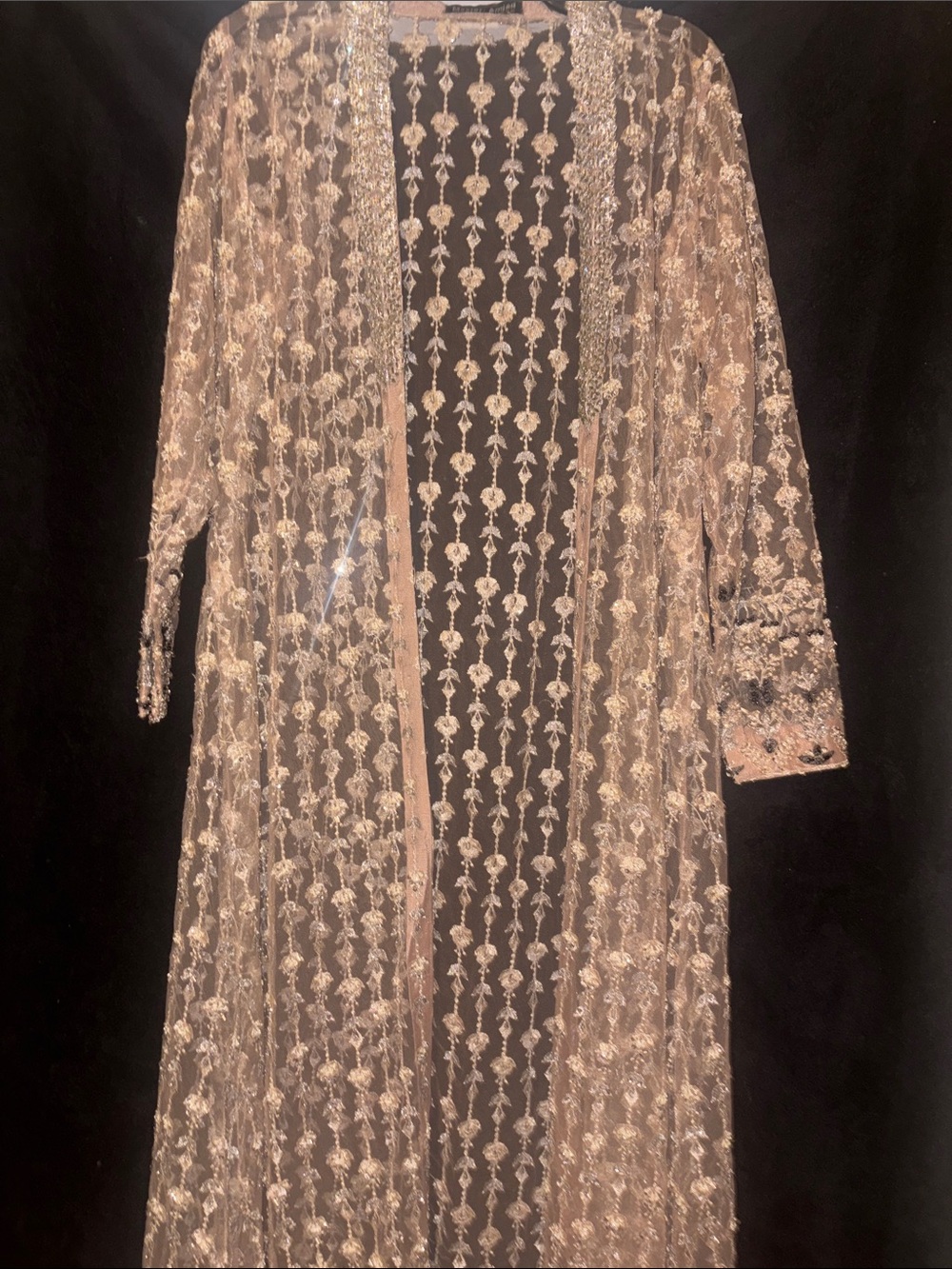 Embellished Sheer Long Robe in Blush with Silver Accents